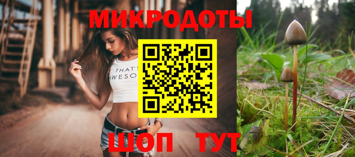 Галлюциногенные грибы Psilocybine cubensis  Вход с VPN  Чехов 